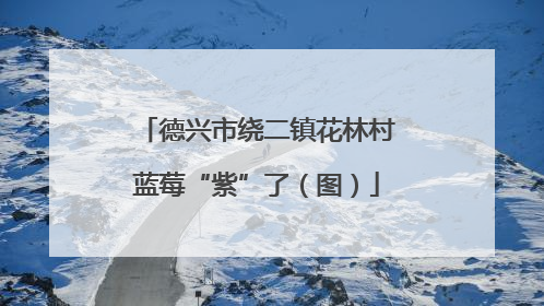 德兴市绕二镇花林村蓝莓“紫”了（图）