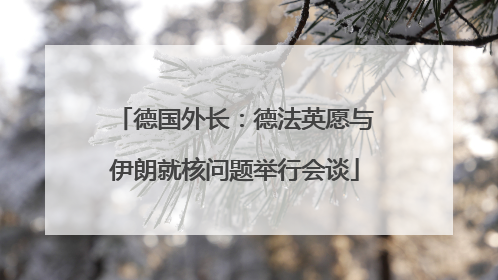 德国外长：德法英愿与伊朗就核问题举行会谈