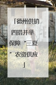 德州供销四措并举 保障“三夏”农资供应