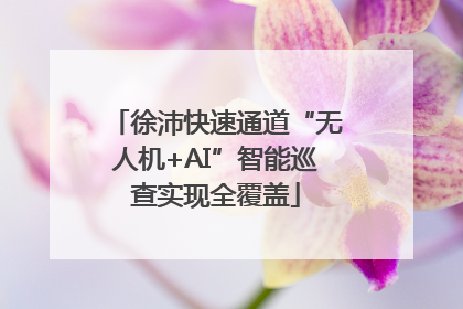 徐沛快速通道“无人机+AI”智能巡查实现全覆盖