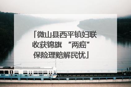 微山县西平镇妇联收获锦旗 “两癌”保险理赔解民忧