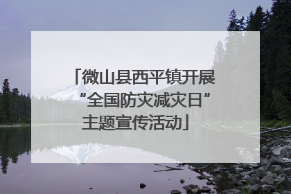 微山县西平镇开展“全国防灾减灾日”主题宣传活动