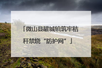 微山县驩城镇筑牢秸秆禁烧“防护网”