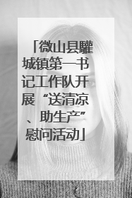 微山县驩城镇第一书记工作队开展“送清凉、助生产”慰问活动