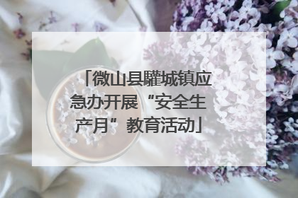 微山县驩城镇应急办开展“安全生产月”教育活动