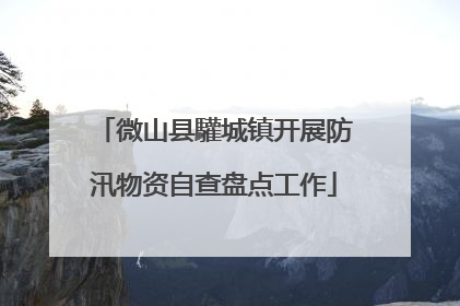 微山县驩城镇开展防汛物资自查盘点工作