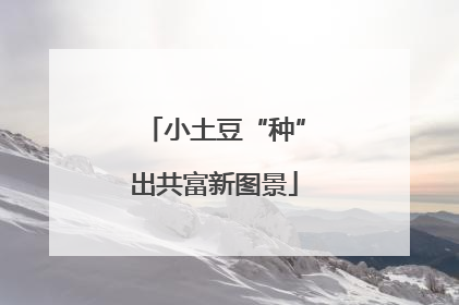 小土豆“种”出共富新图景