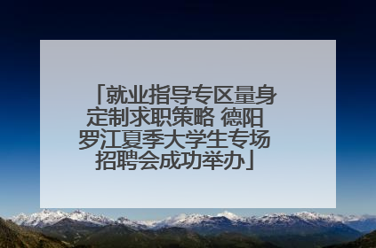 就业指导专区量身定制求职策略 德阳罗江夏季大学生专场招聘会成功举办