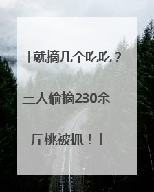 就摘几个吃吃？三人偷摘230余斤桃被抓！