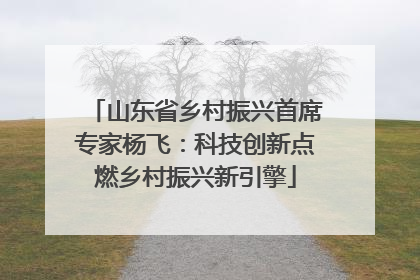 山东省乡村振兴首席专家杨飞：科技创新点燃乡村振兴新引擎