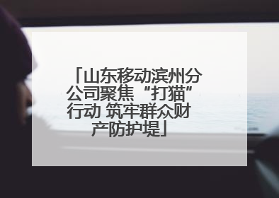 山东移动滨州分公司聚焦“打猫”行动 筑牢群众财产防护堤