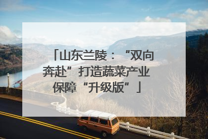 山东兰陵：“双向奔赴”打造蔬菜产业保障“升级版”