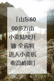山东6000多万亩小麦陆续开镰 全省将进入小麦机收高峰期
