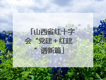 山西省红十字会“党建＋红建”谱新篇