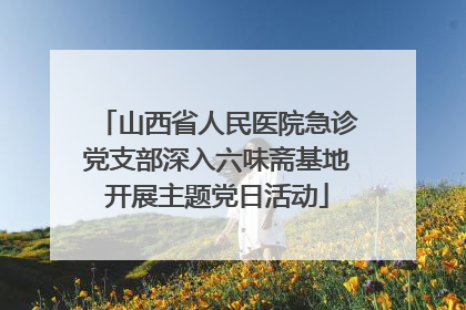 山西省人民医院急诊党支部深入六味斋基地开展主题党日活动