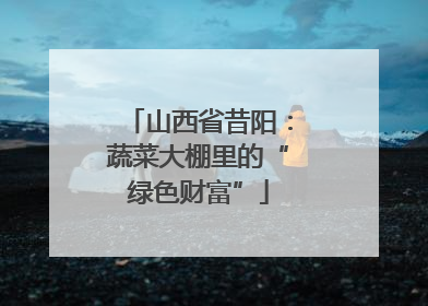 山西省昔阳：蔬菜大棚里的“绿色财富”