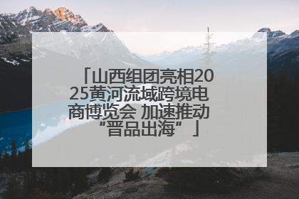 山西组团亮相2025黄河流域跨境电商博览会 加速推动“晋品出海”