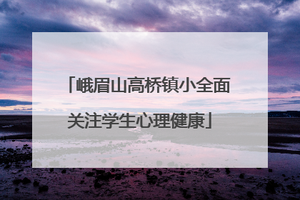 峨眉山高桥镇小全面关注学生心理健康