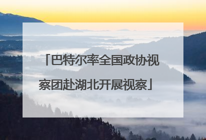 巴特尔率全国政协视察团赴湖北开展视察