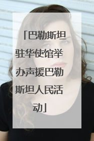巴勒斯坦驻华使馆举办声援巴勒斯坦人民活动