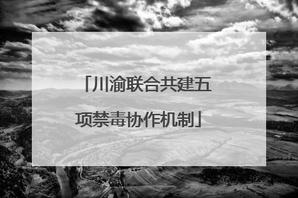 川渝联合共建五项禁毒协作机制