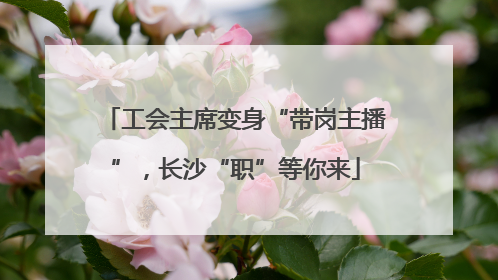 工会主席变身“带岗主播”，长沙“职”等你来