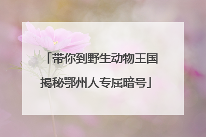 带你到野生动物王国揭秘鄂州人专属暗号