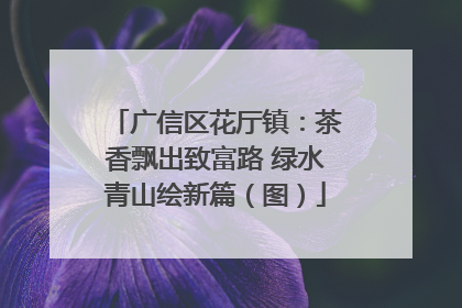 广信区花厅镇：茶香飘出致富路 绿水青山绘新篇（图）