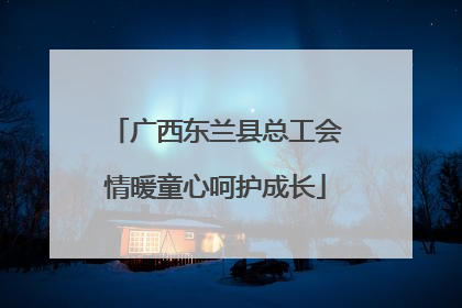广西东兰县总工会情暖童心呵护成长