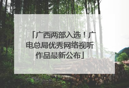 广西两部入选！广电总局优秀网络视听作品最新公布