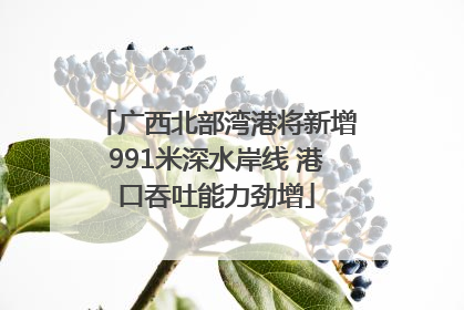 广西北部湾港将新增991米深水岸线 港口吞吐能力劲增