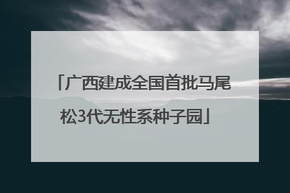 广西建成全国首批马尾松3代无性系种子园
