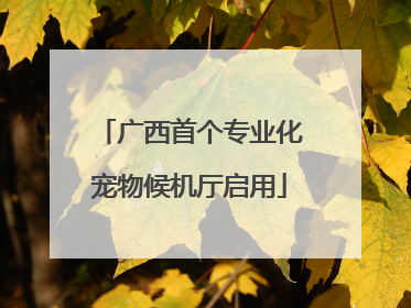 广西首个专业化宠物候机厅启用