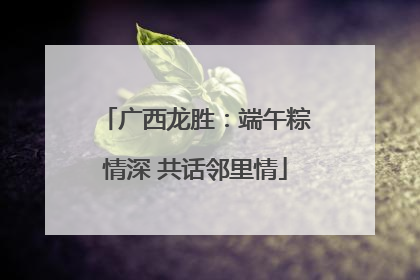 广西龙胜：端午粽情深 共话邻里情