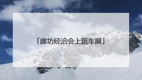 廊坊经洽会上逛车展