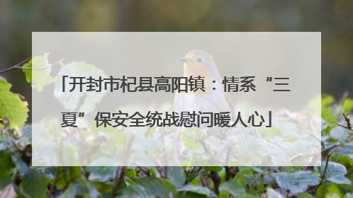 开封市杞县高阳镇：情系“三夏”保安全统战慰问暖人心
