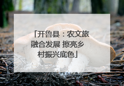 开鲁县：农文旅融合发展 擦亮乡村振兴底色