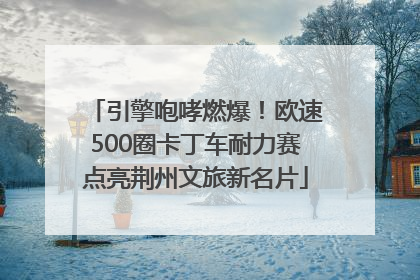 引擎咆哮燃爆！欧速500圈卡丁车耐力赛点亮荆州文旅新名片