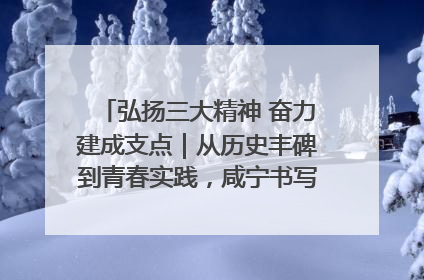 弘扬三大精神 奋力建成支点｜从历史丰碑到青春实践，咸宁书写精神传承新篇章
