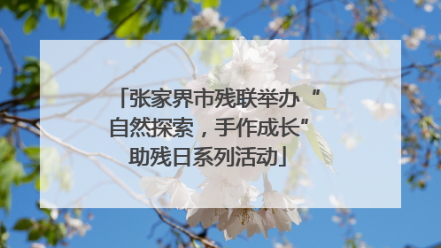 张家界市残联举办“自然探索，手作成长”助残日系列活动