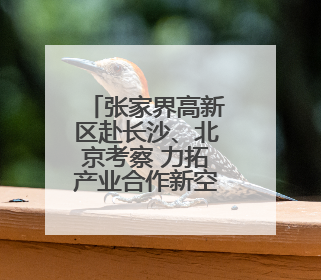 张家界高新区赴长沙、北京考察 力拓产业合作新空间