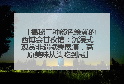 揭秘三种颜色绘就的西博会甘孜馆：沉浸式观赏非遗歌舞展演，高原美味从头吃到尾