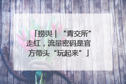 捞舆｜“青交所”走红，流量密码是官方带头“玩起来”