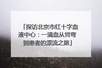探访北京市红十字血液中心：一滴血从臂弯到患者的漂流之旅