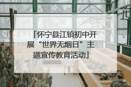 怀宁县江镇初中开展“世界无烟日”主题宣传教育活动