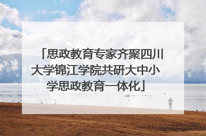 思政教育专家齐聚四川大学锦江学院共研大中小学思政教育一体化