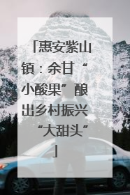 惠安紫山镇：余甘“小酸果”酿出乡村振兴“大甜头”