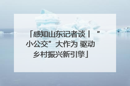 感知山东记者谈丨“小公交”大作为 驱动乡村振兴新引擎