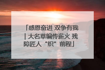 感恩奋进 双争有我｜大名草编传薪火 残障匠人“织”前程