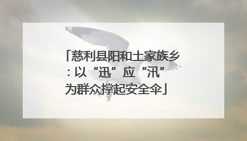 慈利县阳和土家族乡：以“迅”应“汛” 为群众撑起安全伞